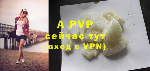 ГАЛЛЮЦИНОГЕННЫЕ ГРИБЫ Богданович