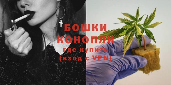 ГАЛЛЮЦИНОГЕННЫЕ ГРИБЫ Богданович