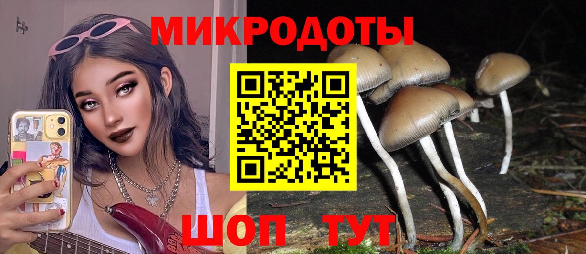 Псилоцибиновые грибы Magic Shrooms  Псилоцибиновые грибы Psilocybe  Сланцы  Вход с VPN 