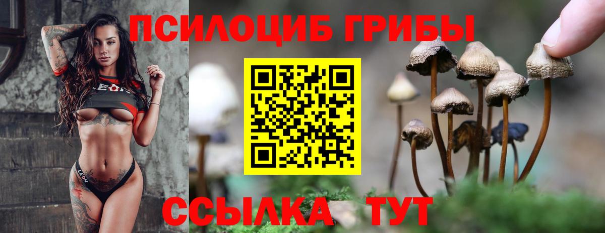 Псилоцибиновые грибы мухоморы  Вход с VPN  Сланцы 