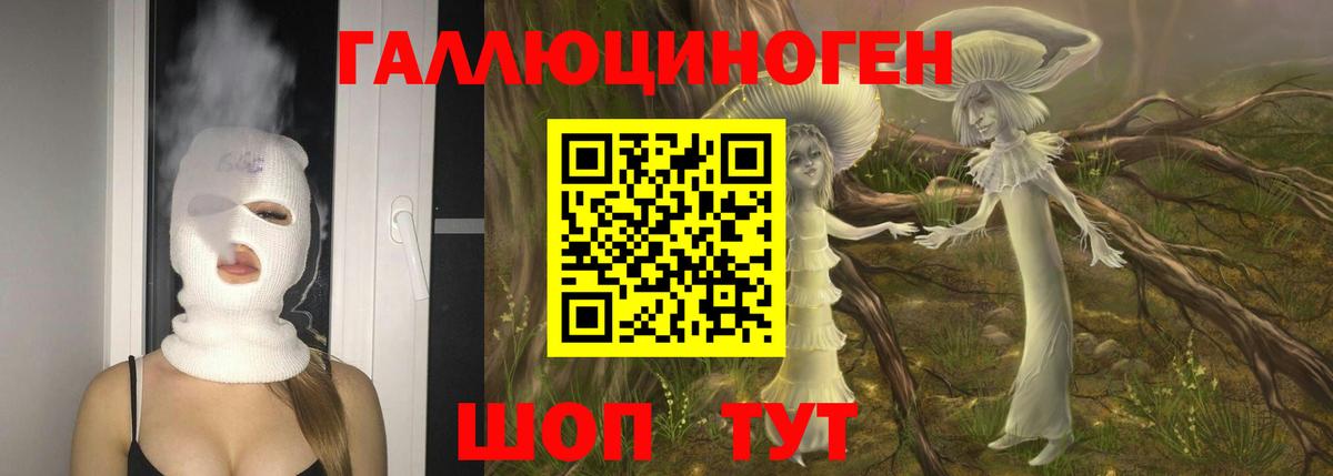 Псилоцибиновые грибы мицелий Сланцы