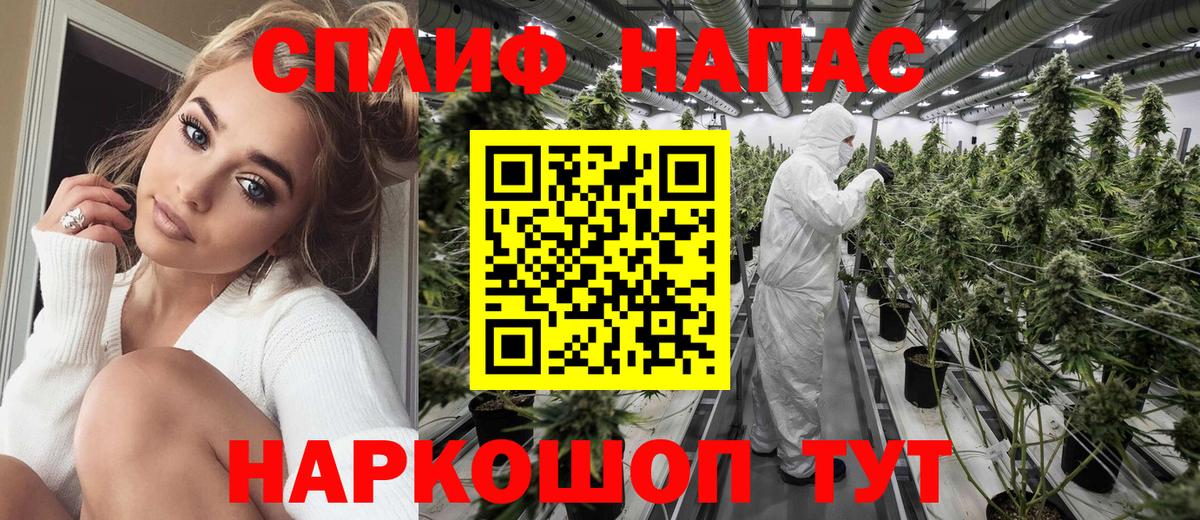 Сланцы  Шишки марихуана MAZAR  Бошки Шишки план  Вход с VPN 